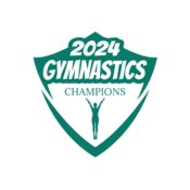 Gymnastics 20